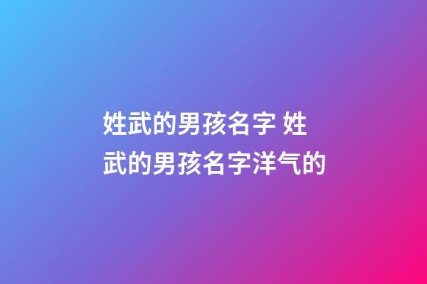 姓武的男孩名字 姓武的男孩名字洋气的